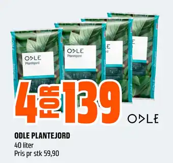 ODLE PLANTEJORD