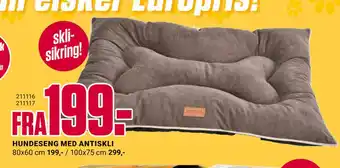 Europris HUNDESENG MED ANTISKLI tilbud