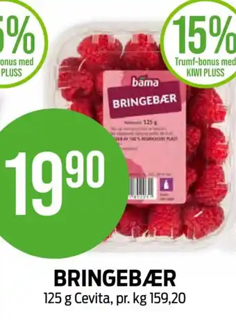 Kiwi BRINGEBÆR tilbud