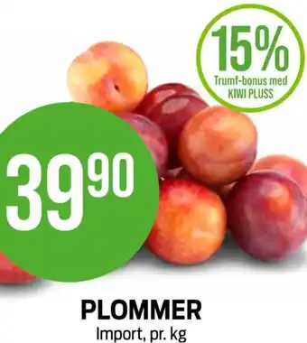 Kiwi PLOMMER tilbud