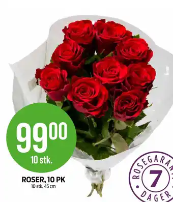 Kiwi ROSER, 10 PK tilbud