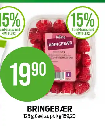Kiwi BRINGEBÆR tilbud