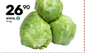 Ukjent nykål