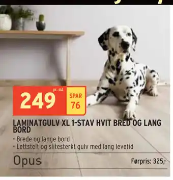 Montér LAMINATGULV XL 1-STAV HVIT BRED OG LANG BORD tilbud