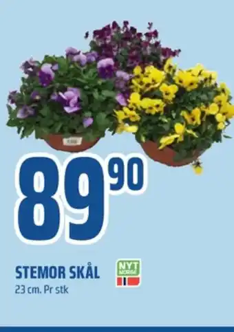 Coop Obs Ukjent plante tilbud