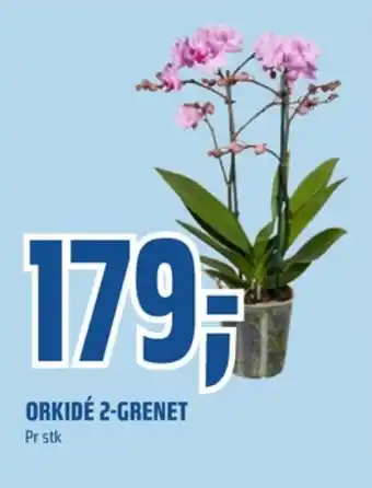 Coop Obs Ukjent plante tilbud