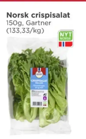Meny Gartner salat tilbud
