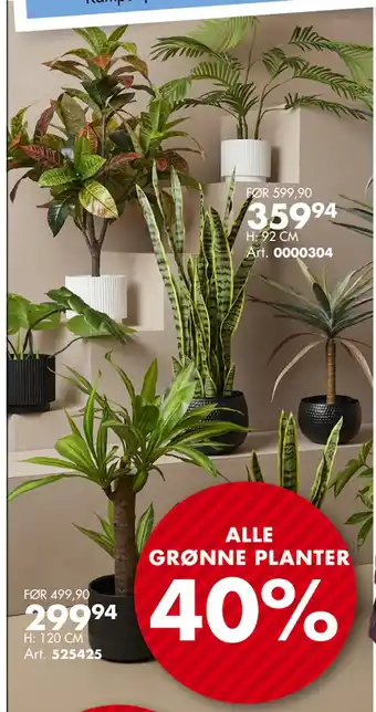 Sparkjøp ALLE GRØNNE PLANTER tilbud