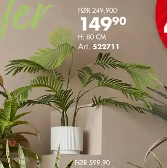 ALLE GRØNNE PLANTER