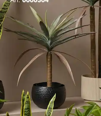 Sparkjøp ALLE GRØNNE PLANTER tilbud