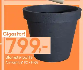 Gigaboks Blomsterpotte tilbud