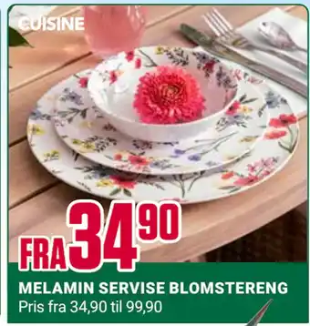 Europris MELAMIN SERVISE BLOMSTERENG tilbud