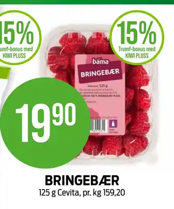 Kiwi BRINGEBÆR tilbud