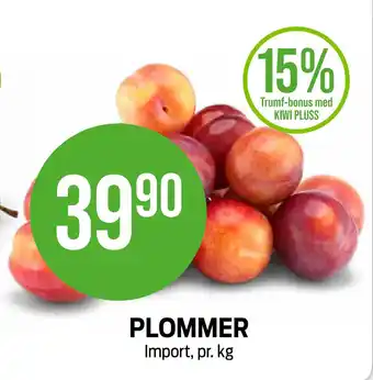 Kiwi PLOMMER tilbud