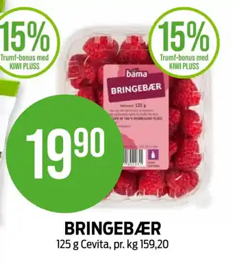 Kiwi BRINGEBÆR tilbud