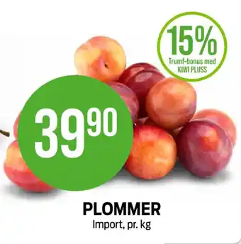 Kiwi PLOMMER tilbud