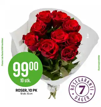 Kiwi ROSER, 10 PK tilbud