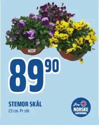 Coop Obs Ukjent plante tilbud
