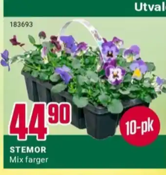 Europris Ukjent plante tilbud