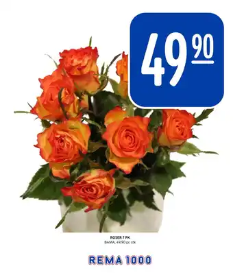 Rema 1000 ROSER 7 PK tilbud