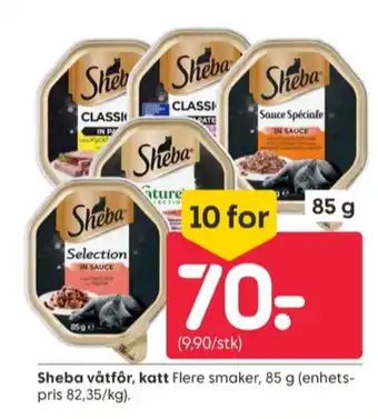 Rusta Sheba kattemat tilbud