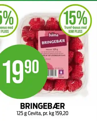 Kiwi BRINGEBÆR tilbud