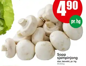 Spar Sopp sjampinjong tilbud