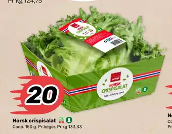 Matkroken Norsk crispisalat tilbud