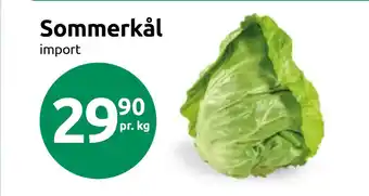Joker Sommerkål tilbud