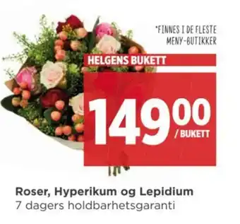 Meny Roser, Hyperikum og Lepidium tilbud