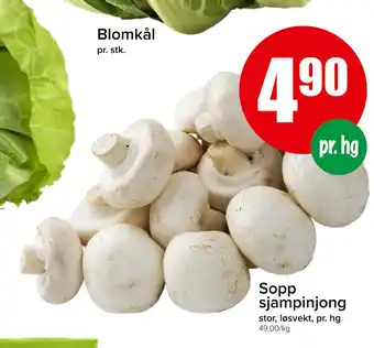 Spar Sopp sjampinjong tilbud