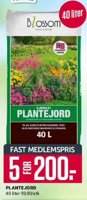 Europris PLANTEJORD tilbud