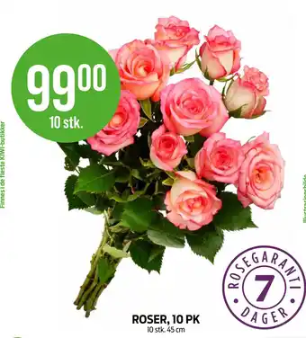 Kiwi ROSER, 10 PK tilbud