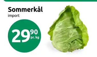 Joker Sommerkål tilbud
