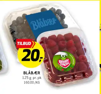 Bunnpris Blåbær tilbud