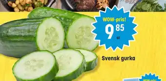 Eurocash Svensk gurka tilbud