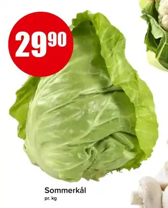 Spar Sommerkål tilbud