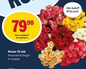 Roser 15 stk