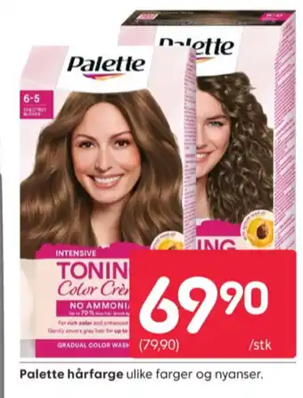 Rusta Palette hårfarge tilbud