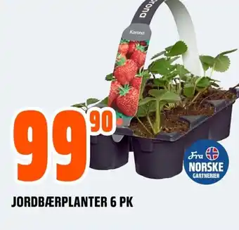 Coop Obs JORDBÆRPLANTER 6 PK tilbud