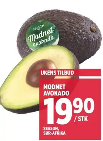 Meny MODNET AVOKADO tilbud