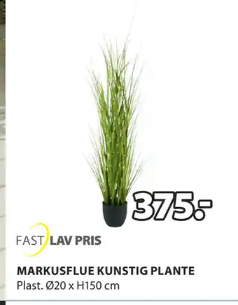 JYSK MARKUSFLUE KUNSTIG PLANTE tilbud