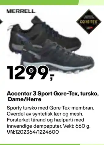 XXL Sport Accentor 3 Sport Gore-Tex, tursko, Dame/Herre tilbud
