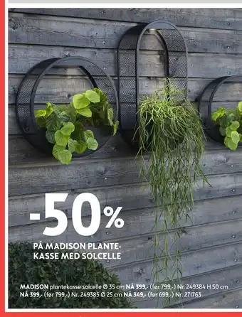 50% PÅ MADISON PLANTEKASSE MED SOLCELLE