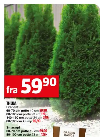 Bauhaus THUJA tilbud