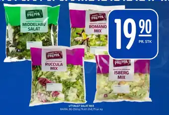 Rema 1000 UTVALGT SALAT MIX tilbud