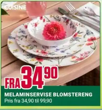 Europris MELAMINSERVISE BLOMSTERENG tilbud