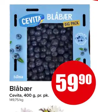 Spar Blåbær tilbud