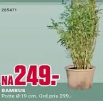 Europris BAMBUS tilbud