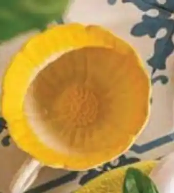 Nille Solblomst kopp tilbud